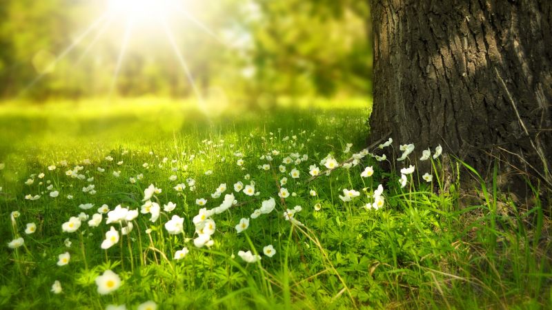 How your soul ‘speaks’ to your body